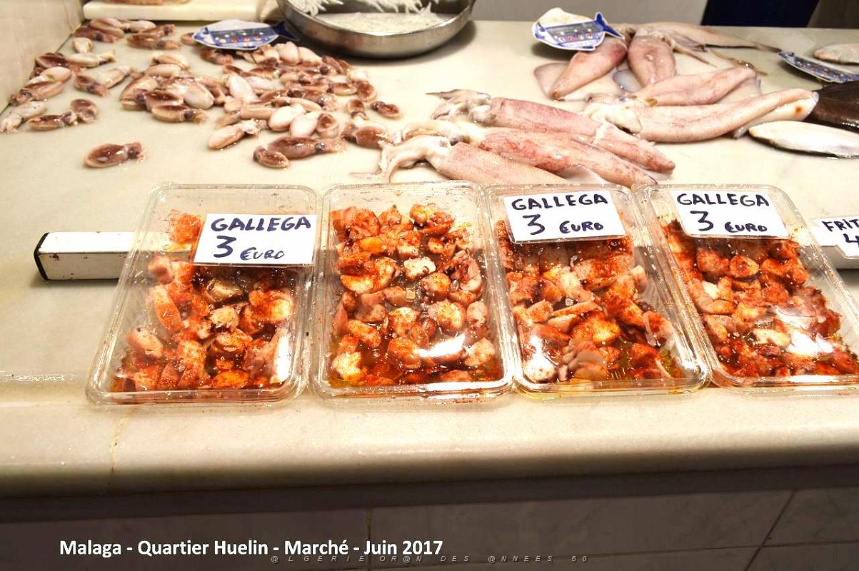308- Malaga Huelin.JPG